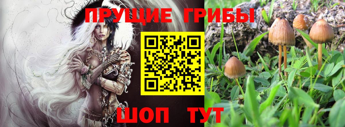 Псилоцибиновые грибы Cubensis Холмск