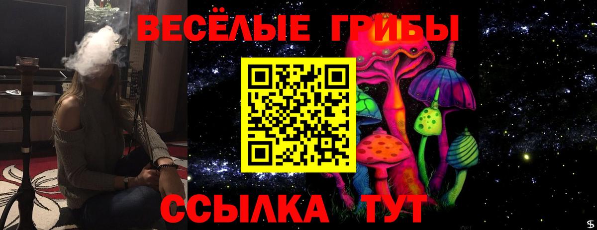 Холмск  Псилоцибиновые грибы MAGIC MUSHROOMS  Вход с VPN  Псилоцибиновые грибы MAGIC MUSHROOMS 